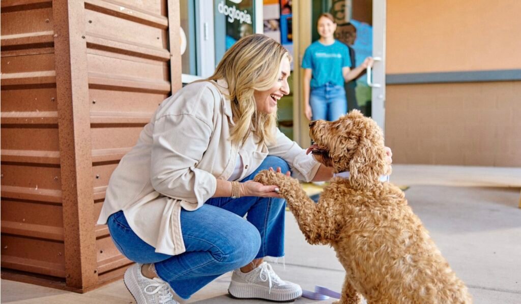 En Mascotas Asombrosas nos apasiona el cuidado de tus mascotas, nuestra clinica es un referente en la atención veterinaria en la ciudad de Guatemala. creemos en la prevención como una clave para una vida saludable de las mascotas, por eso ofrecemos servicios integrales que abarcan desde consultas de rutina hasta cirugías especializadas.